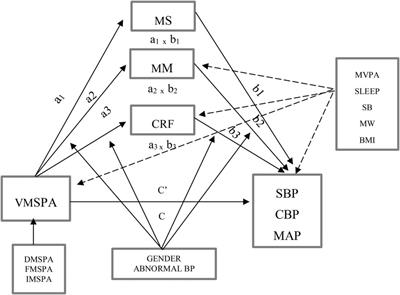 The mediation role of physical fitness in association between muscle-strengthening physical activities and its component with blood pressure among young adults: considering gender and abnormal blood pressure as moderators, moderate-vigorous physical activity, sleep behavior, sedentary behavior, mental wellbeing and BMI as covariates